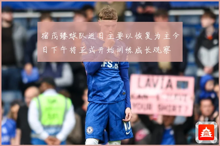 宿茂臻球队近日主要以恢复为主今日下午将正式开始训练成长观察