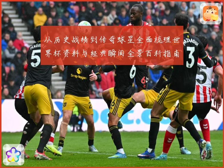 从历史战绩到传奇球星全面梳理世界杯资料与经典瞬间全景百科指南