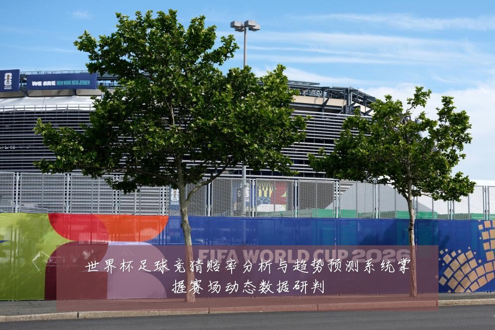 世界杯足球竞猜赔率分析与趋势预测系统掌握赛场动态数据研判